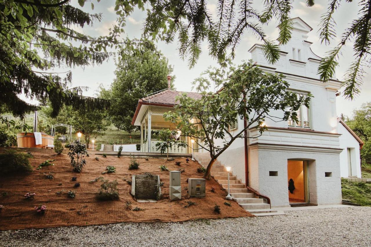 Vila Vilma Vineyard Cottage レンダヴァ エクステリア 写真