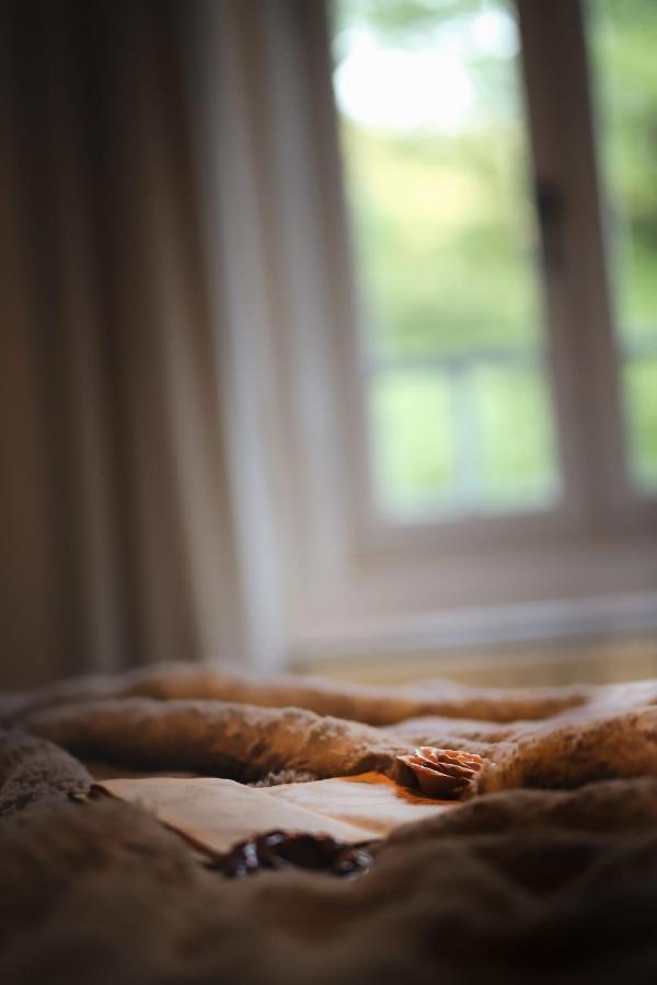 Vila Vilma Vineyard Cottage レンダヴァ エクステリア 写真