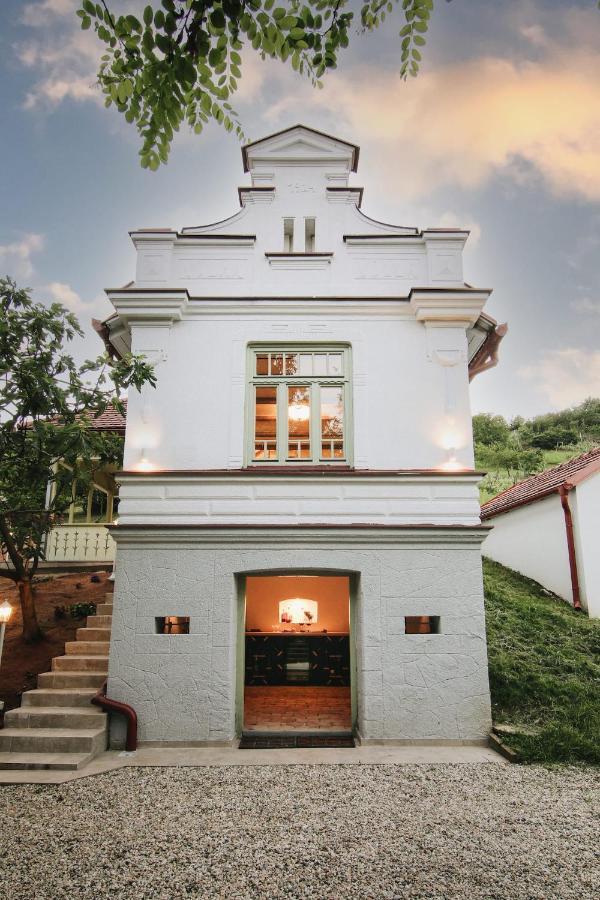 Vila Vilma Vineyard Cottage レンダヴァ エクステリア 写真